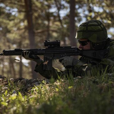 Russia turns Sweden’s Home Guard into a recruitment triumph