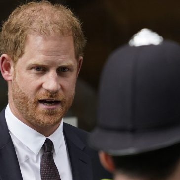 Why Prince Harry is fighting the UK government in court