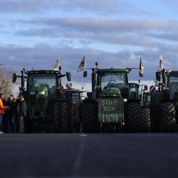 Bears, cars and angry farmers fuel green backlash