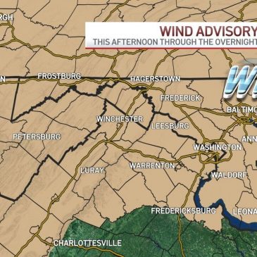 Thousands without power, downed trees as storm system sweeps over DC area