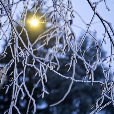 Arctic chill may bring record low temperatures on Christmas Eve