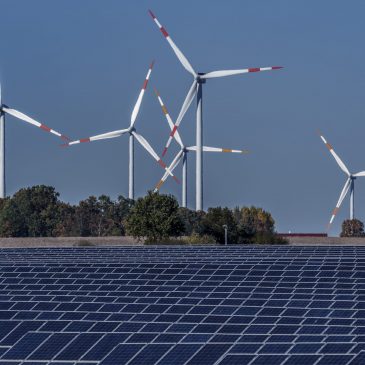 Germany to double down on renewable energy – official
