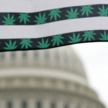 Weed wins galvanize Capitol Hill’s anti-cannabis club