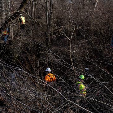 Ticker: EPA orders Norfolk Southern to continue cleanup in East Palestine, Ohio