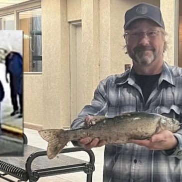 Minnesota fisherman loses walleye down North Dakota storm drain — and gets it back