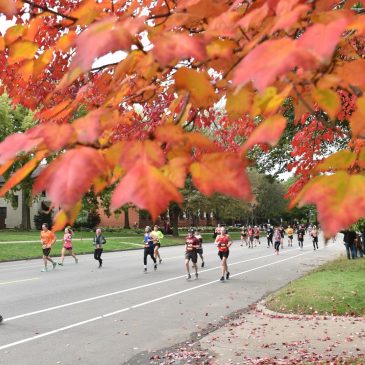 Met Council approves Summit Avenue bikeway as Court of Appeals asks city of St. Paul for more information