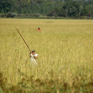 Native lands lack clean water protections, but more tribes are taking charge