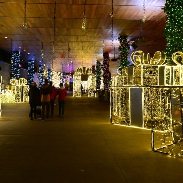Glow Holiday Festival returns to CHS Field with many lit-up wonders