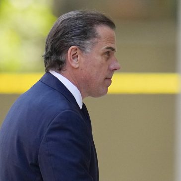 Hunter Biden asks judge to toss out gun charges