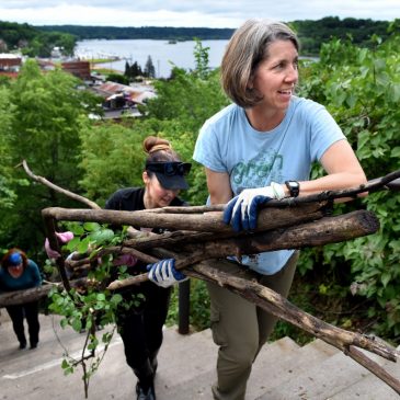 Calling all volunteers: Minnesota DNR has a job for you