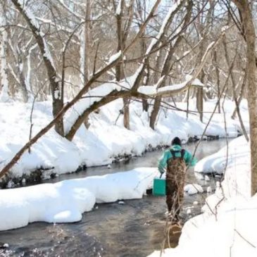 Citizen scientists needed to see what happens in trout streams in winter