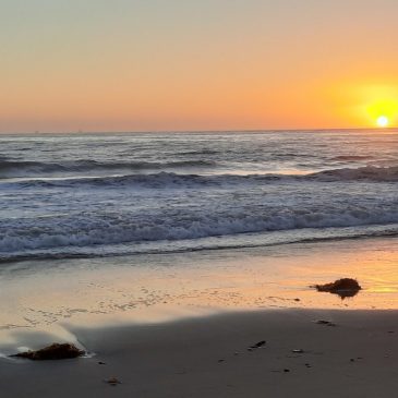 Travel: Carpinteria is much more than ‘the world’s safest beach’