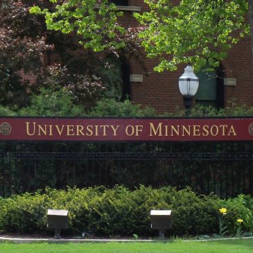 University of Minnesota names Rebecca Cunningham, University of Michigan research head, as next president