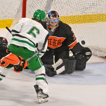 Boys hockey: Stanius’ early goal, Gabriel’s 35 saves power White Bear Lake over Hill-Murray in section final