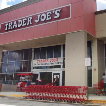 Trader Joe’s chicken soup dumplings recalled for possibly containing permanent marker plastic