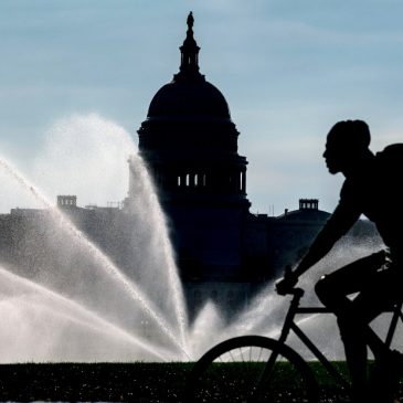 Yes, we’re divided. But new AP-NORC poll shows Americans still agree on most core American values
