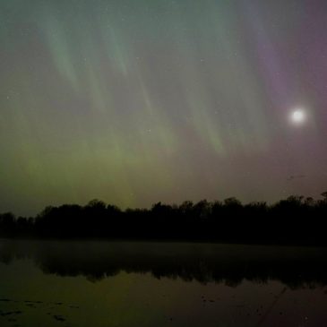 See photos and video of Minnesota’s stunning northern lights show