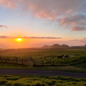 Skip the luau. Party like a cowboy in Hawaii’s paniolo country instead.