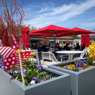 Pioneer Press 2024 patio guide has something for everyone