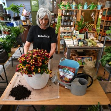 Garden variety: Containers are the perfect way to add color to your porch, patio and lawn