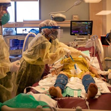 Mistrust, fights and blood sport: How COVID-19 trauma is shaping the 2024 election
