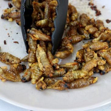 You may not be able to escape cicadas — but you can eat them