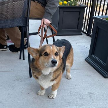Here are readers’ picks for 2024’s best patios