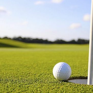 State golf roundup: Cretin-Derham Hall’s Udovich one back of Edina’s Ohe heading into 3A boys final round