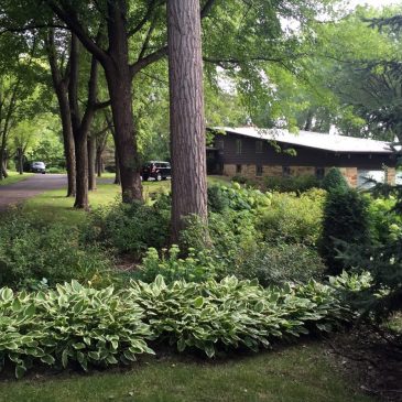 Stillwater residents to vote on local sales tax for riverfront improvements