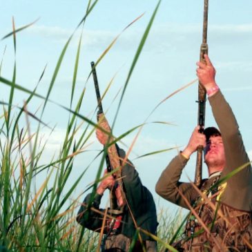 Minnesota, Wisconsin fall hunting seasons set — time to plan ahead