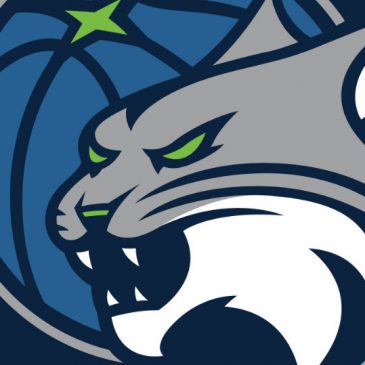 Lynx offense stalls late in loss to Liberty