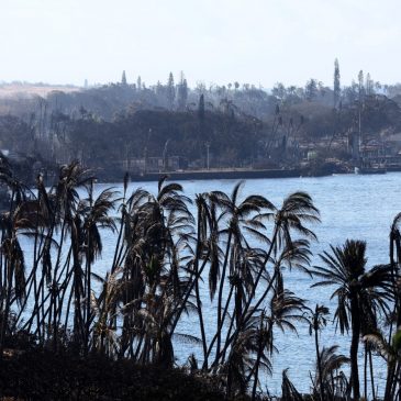 Today in History: August 8, devastating Maui wildfires