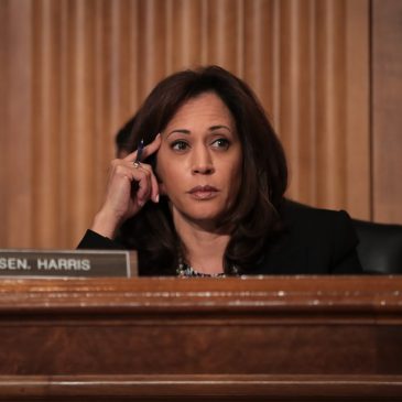 Climate change is a defining issue for young voters. Neither Harris nor Trump are doing enough, they say.