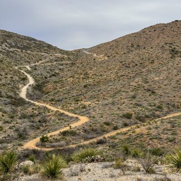 A Rough Road to the Christmas Mountains