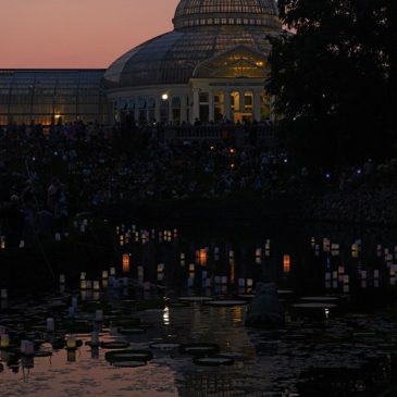 Photos: Japanese Obon Festival features performances, lantern lighting