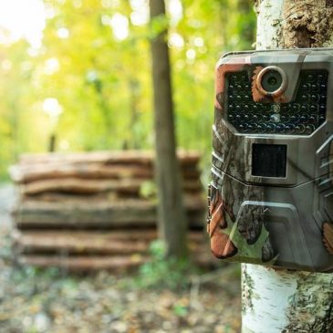 The top 7 cellular trail cameras for amazing images