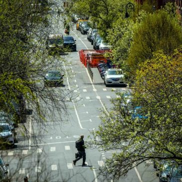 Opinion: Heat Waves Show Why NYC Needs More Trees