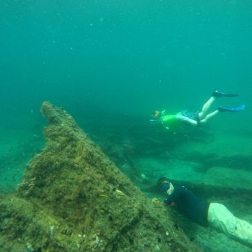 Snorkeling in South Florida: Check out these 6 must-see spots