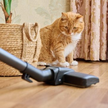 Tech review: Three vacuums to keep your floors clean