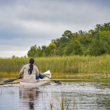 Wild rice harvesters come across ancient remains on shores of Leech Lake