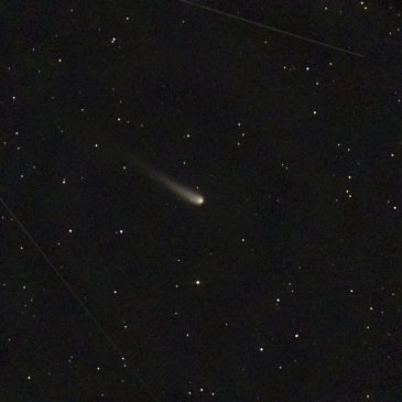 A rare comet brightens the night skies in October