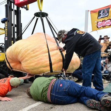 King of the Gourds: Giant pumpkin growers to face off in Stillwater