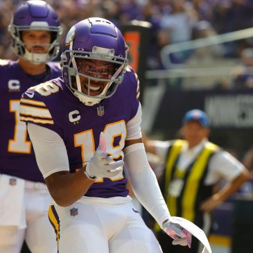 How do the Vikings compare to their peers in the NFL’s best division?