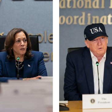 What Could a Trump or Harris Win Mean for New York’s Climate Goals? 