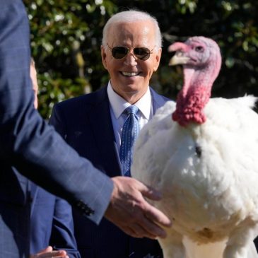 Joe Biden begins final White House holiday season with turkey pardons for ‘Peach’ and ‘Blossom’