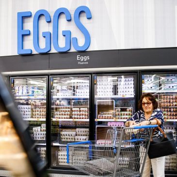 Eggs are available — but pricier — as the holiday baking season begins