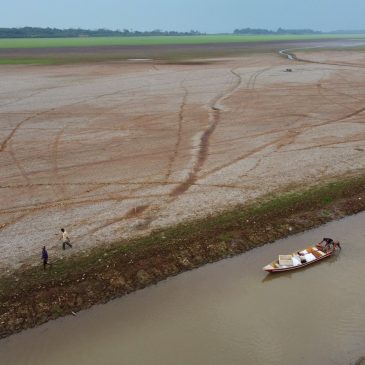 Drought, fires and deforestation battered Amazon rainforest in 2024