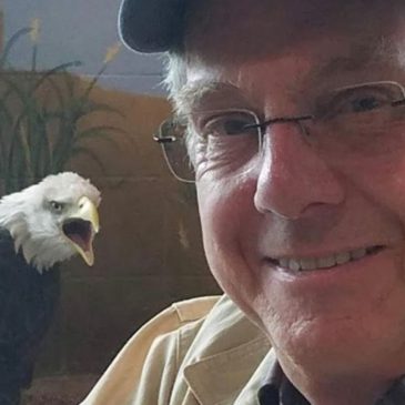 Minnesota benefactor has bald eagle on cusp of winning status as national bird