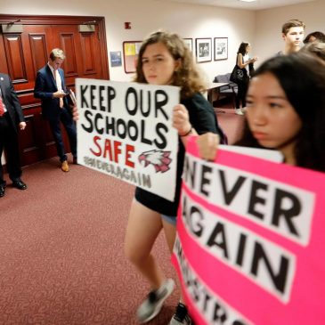 Florida lawmakers propose rolling back gun control laws passed after Parkland shooting