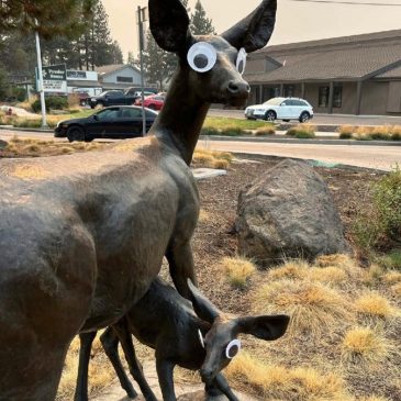 Mysterious googly eyes go viral after appearing on public art in Oregon